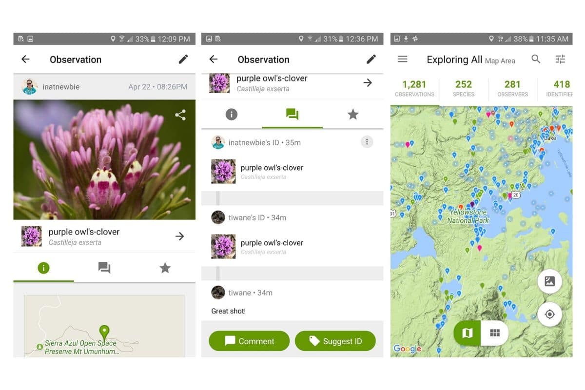 iNaturalist - application de randonnée de reconnaissances plantes et animaux